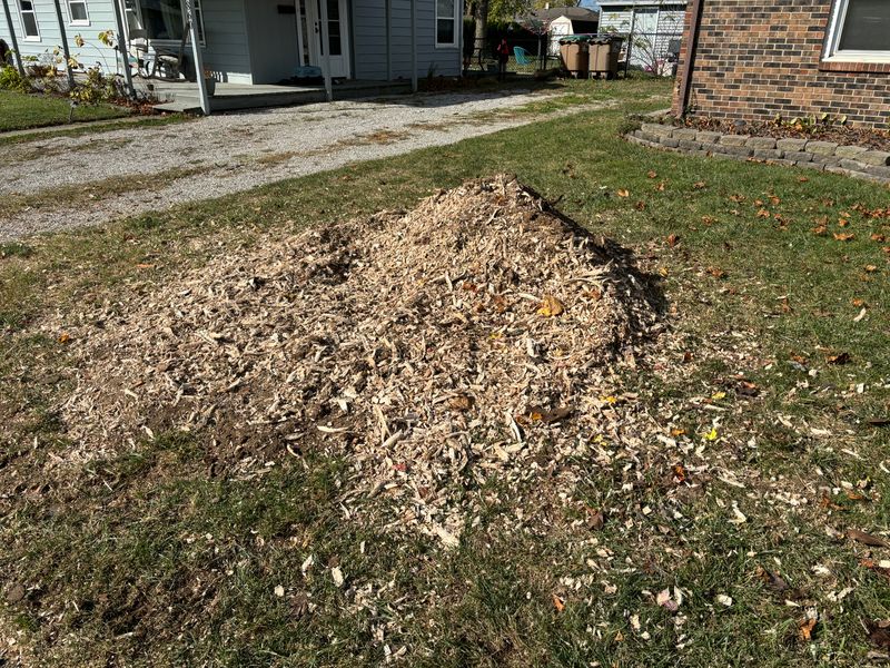 Stump Removal gallery