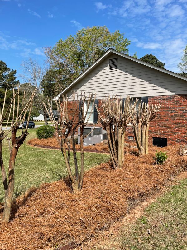 Turf, Ornamental, and Irrigation