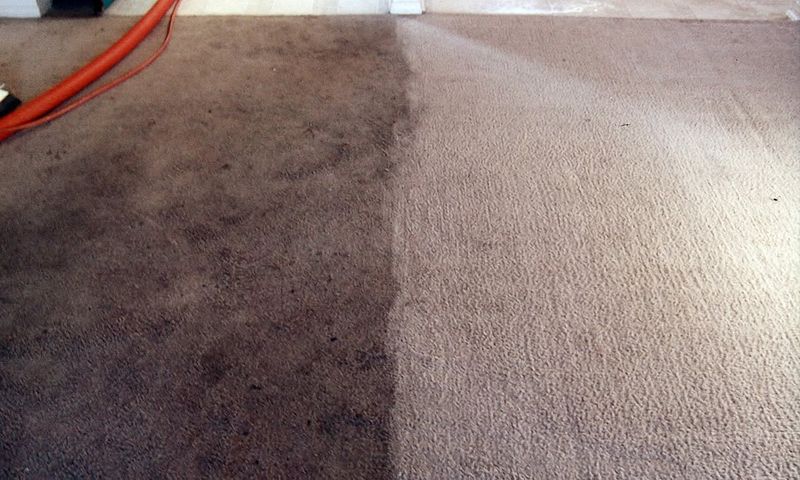 Carpet Cleaning