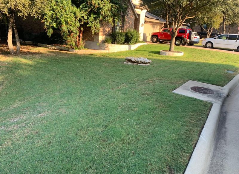 Lawn Maintenance