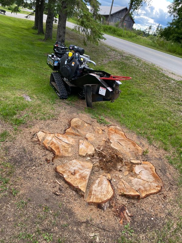 Stump Grinding
