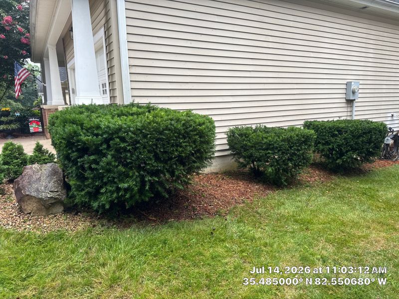 Lawn Care Services