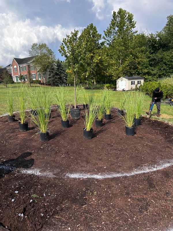 Tree & Perennial Planting