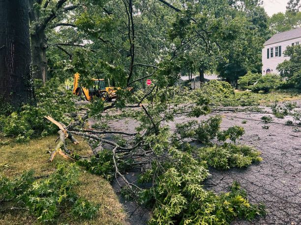 Debris Cleanup