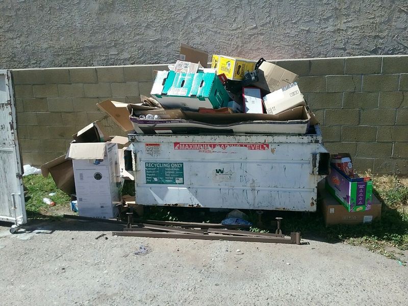 Dumpster Overflow Cleanup