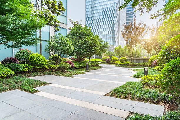 Commercial Landscaping