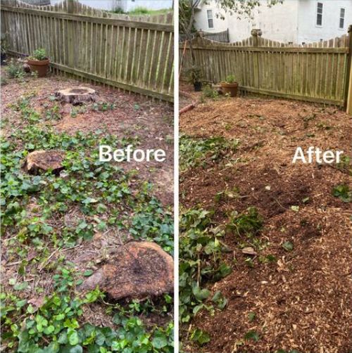 Stump Grinding & Removal
