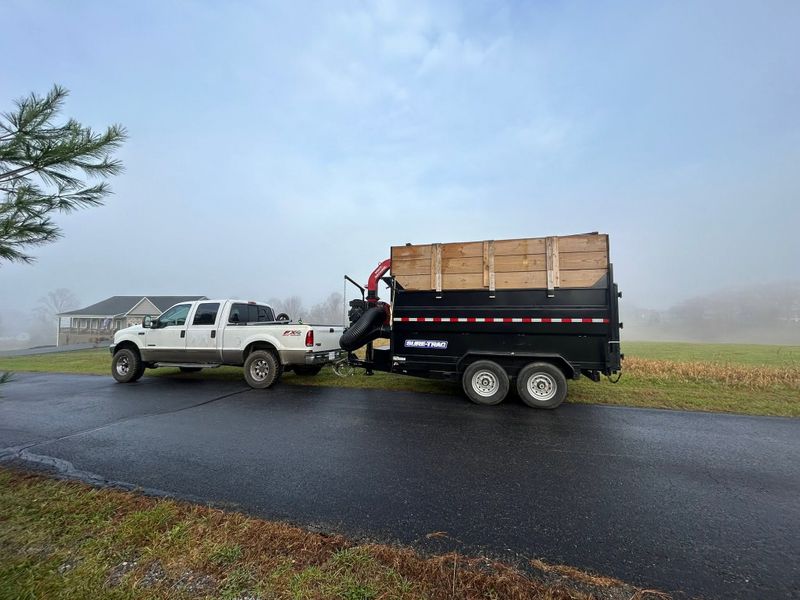 Debris Removal