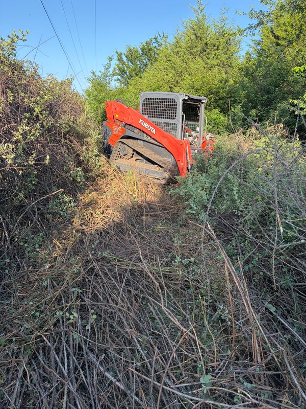 Land Clearing