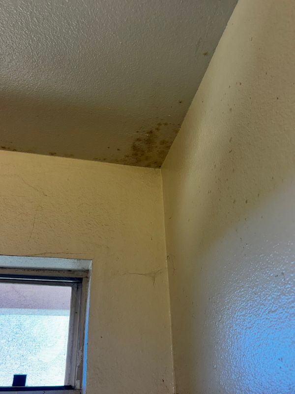 Home Inspections