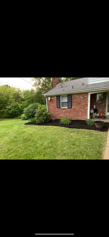 Shrub Trimming