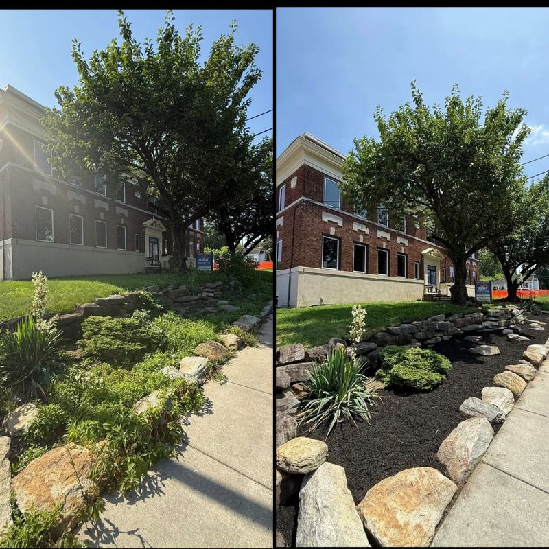 Landscape Design