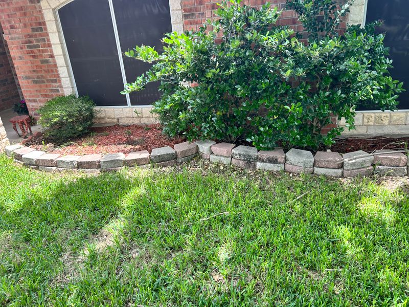 Mulch beds