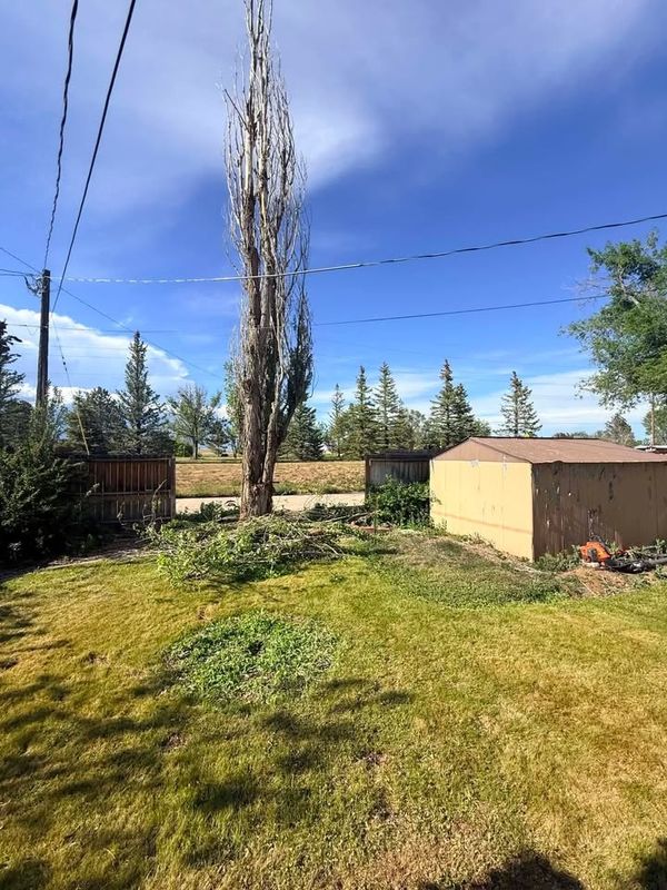 Tree Pruning