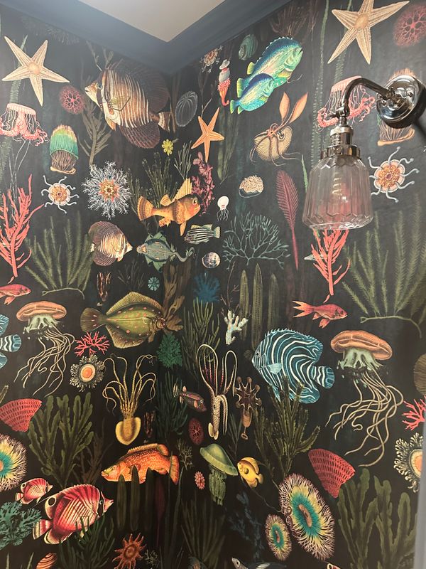 Wallpaper Installations