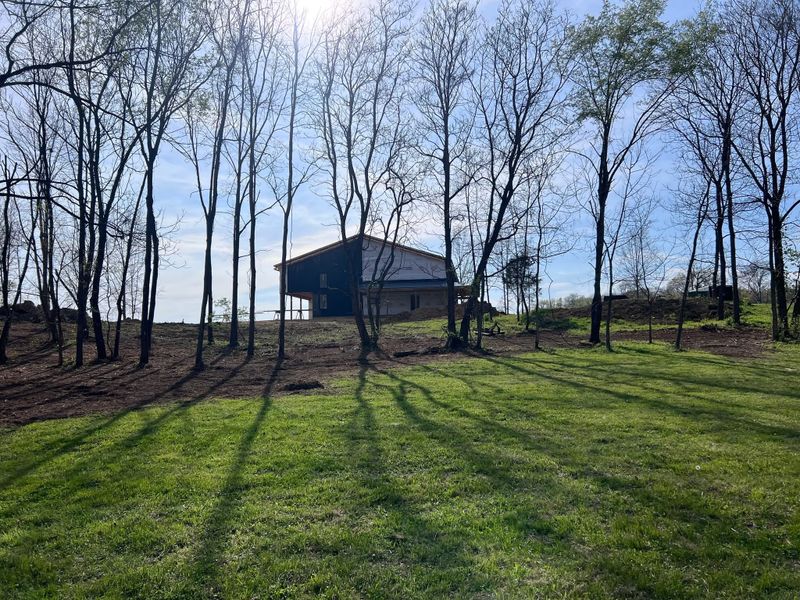 Forestry Mulching