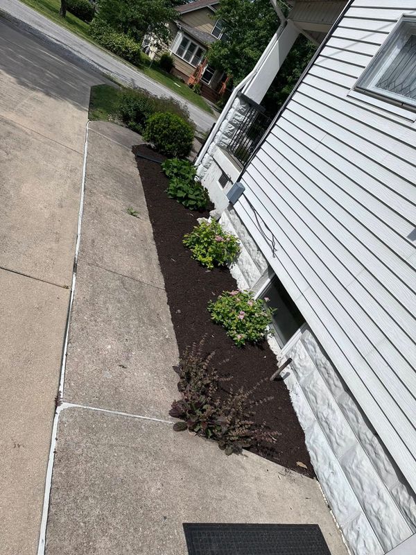 Plant & Shrub Installations