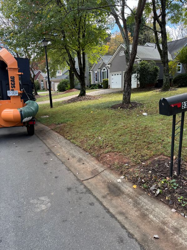Leaf Removal