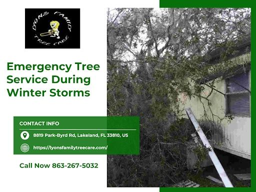 Emergency Tree Services