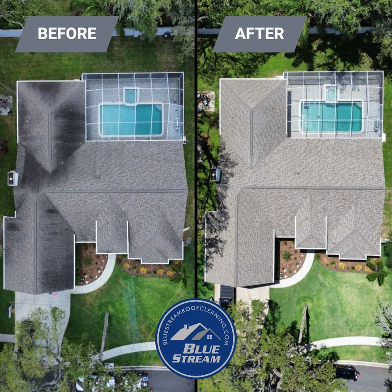 Roof Cleaning