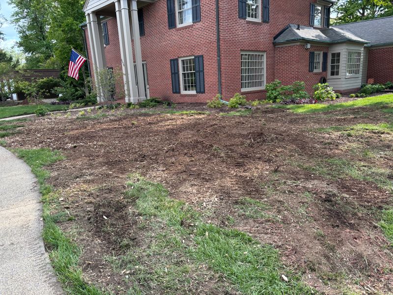 Stump Removal
