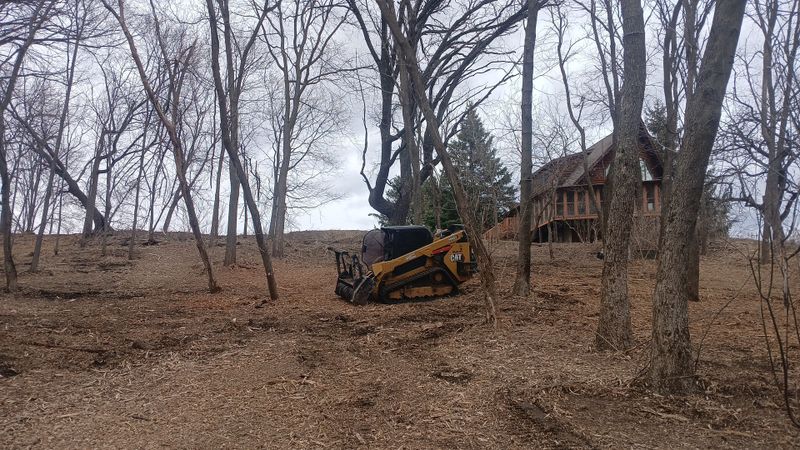 Forestry Mulching
