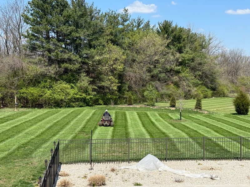 Our Mowing