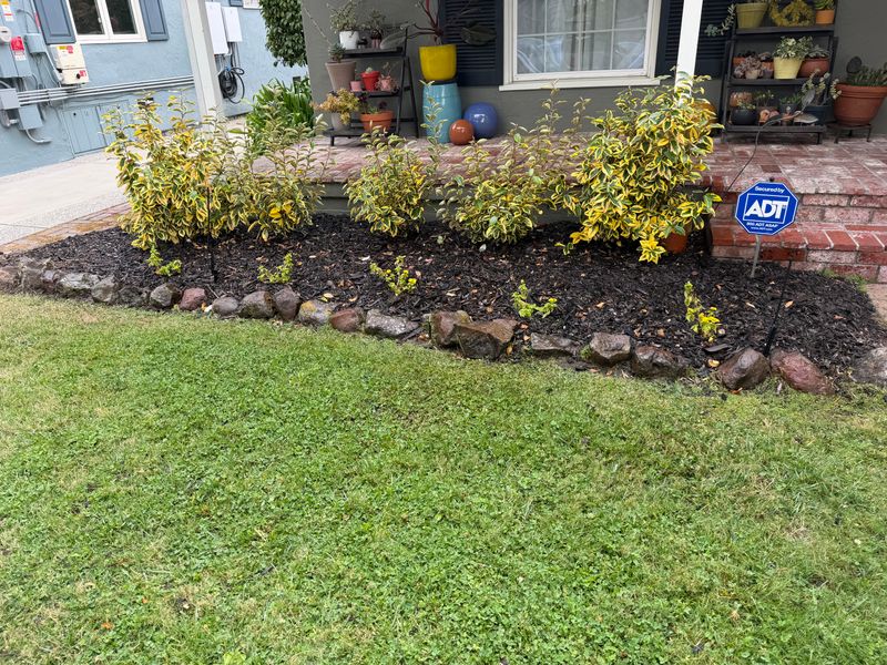 Landscape Rock Installation