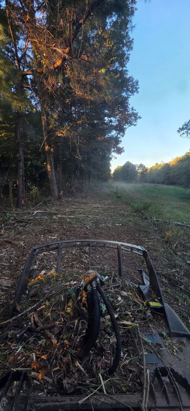 Brush Cutting