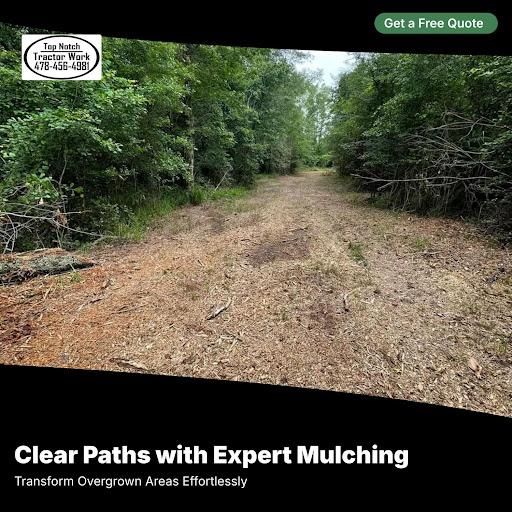 Land Clearing & Forestry Mulching