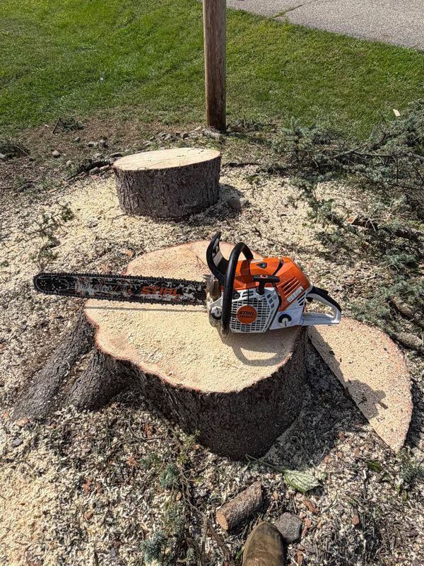 Tree Removal