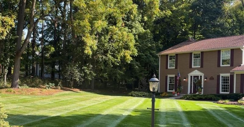 Lawn Maintenance