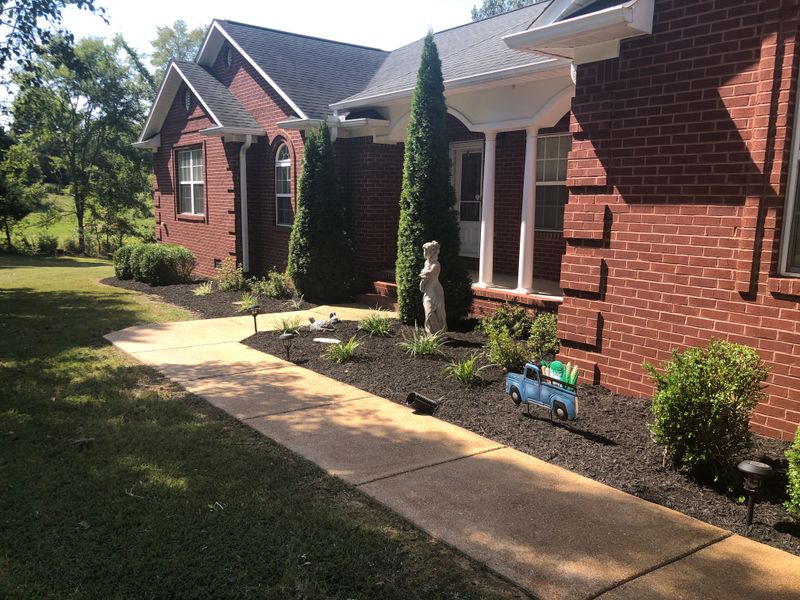 Lawn Maintenance