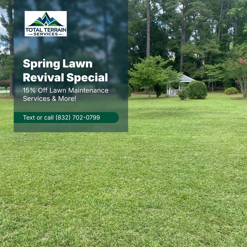 Lawn Maintenance