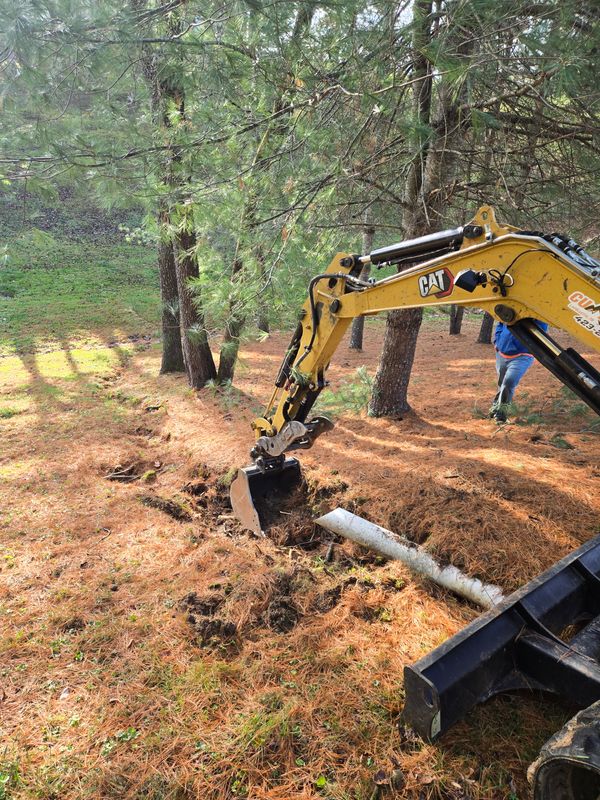 Landscape Installation