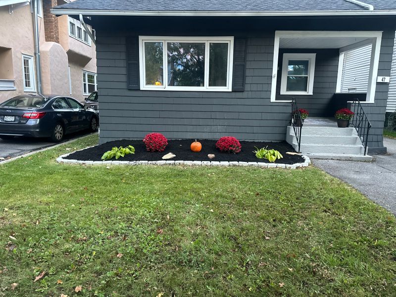 Lawn Care & Maintenance