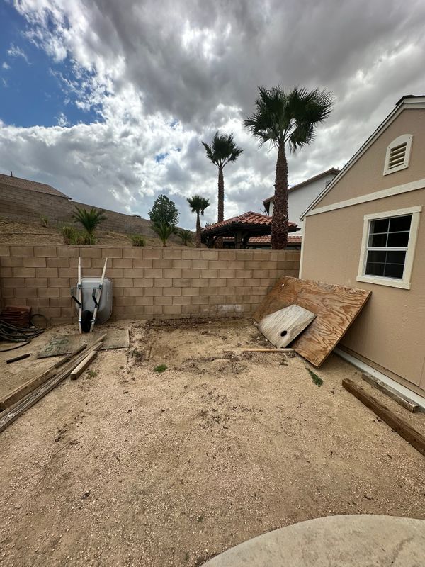 Shed Removal