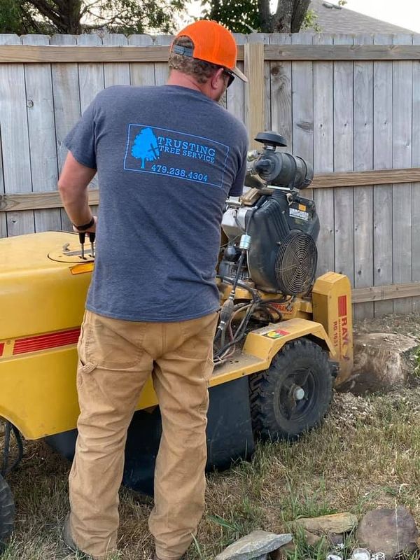 Stump Removal