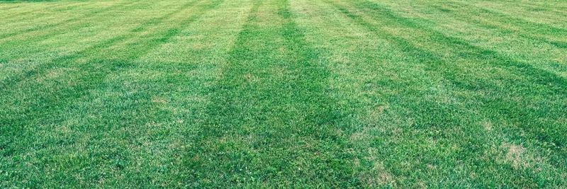 Mowing