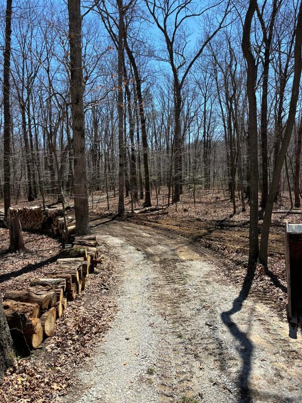 Driveway Construction