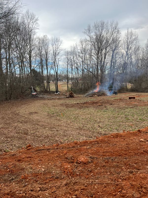 Land Clearing