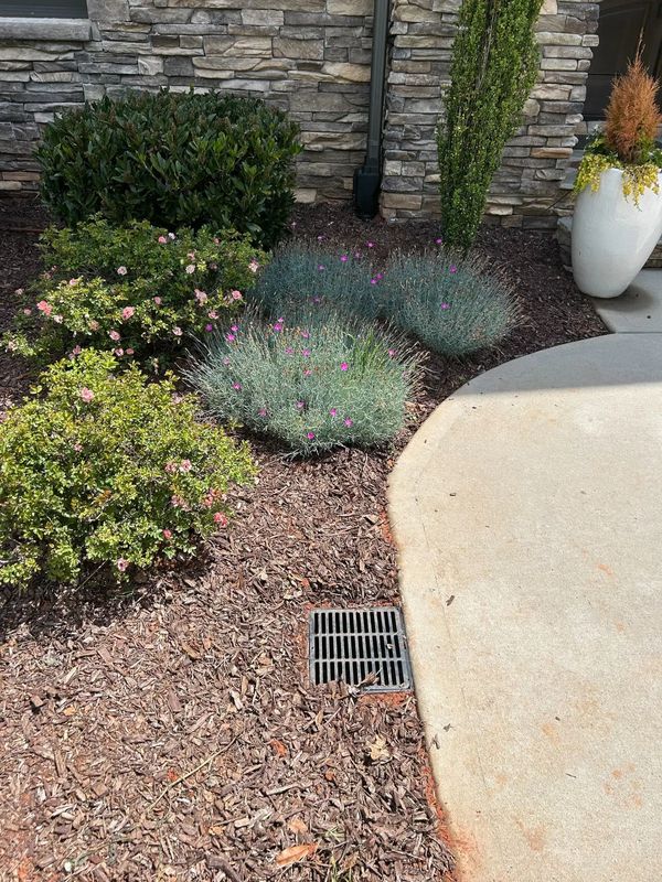 Gutter Downspouts and Extensions