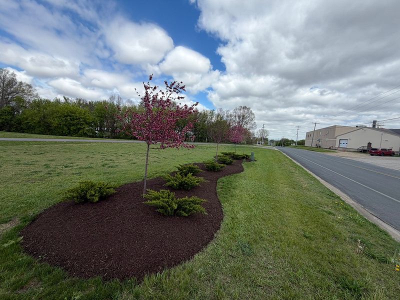 Beautiful Lawns