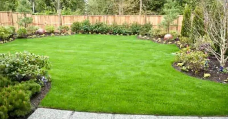 Lawn Care