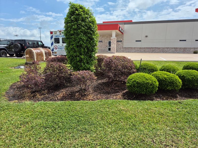 Lawn Maintenance