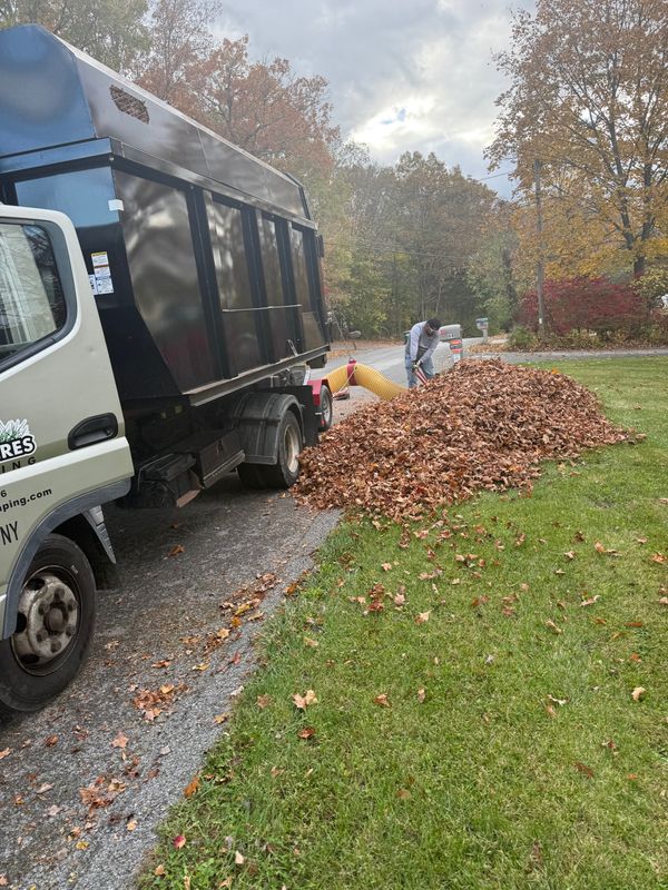 Fall Clean Up