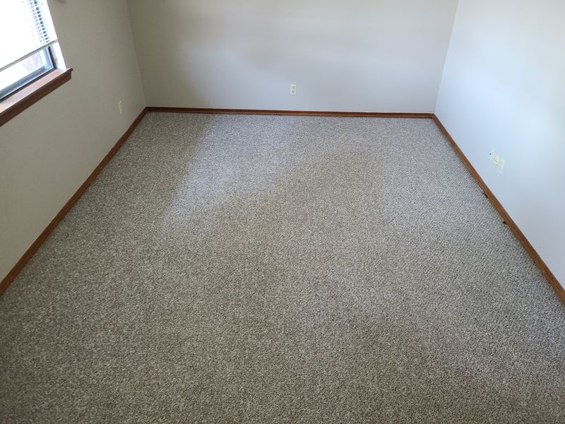 Carpet Cleaning