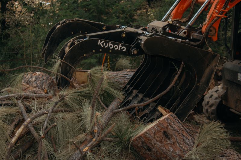Tree Removal