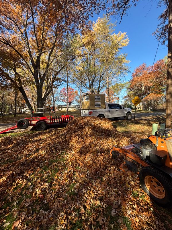 Property Cleanups