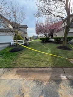 Landscape Designs